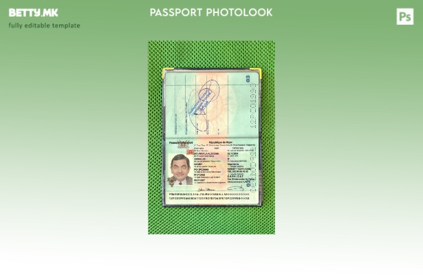 Модерен стил, шаблон за презентација на слика за пасош на Република Нигер